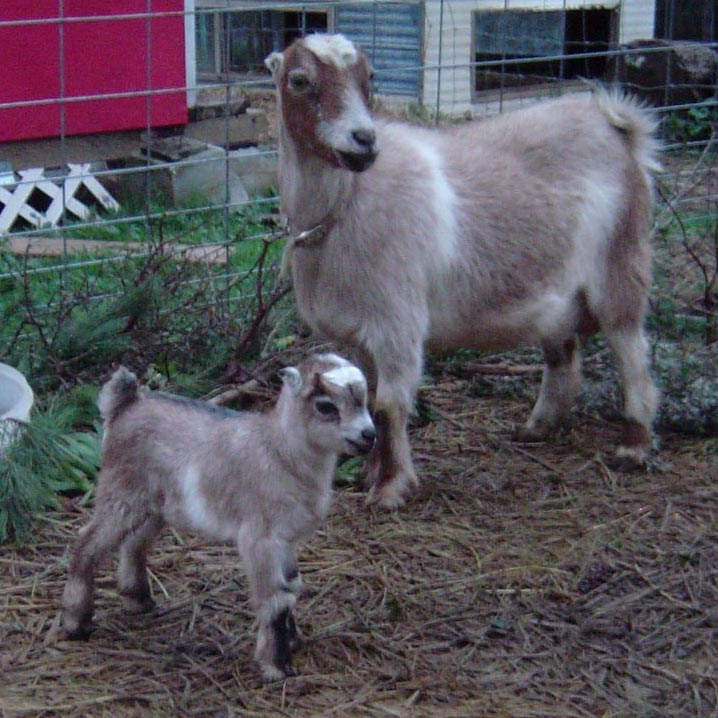 Sheila and  Daughter Roo